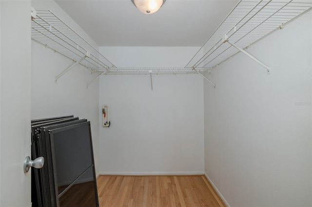 5640 Ferguson Ct Unit 2203, New Port Richey, FL 34652 - walk in closet with light wood-style flooring
