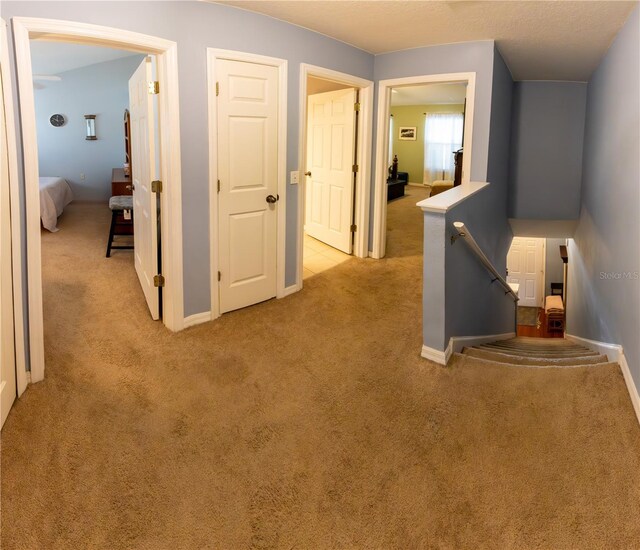 13651 Forest Lake Dr, Largo, FL 33771 - photo 20