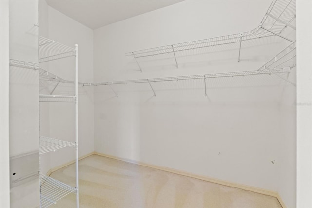 7328 Blue Skies Dr, Spring Hill, FL 34606 - walk in closet featuring carpet