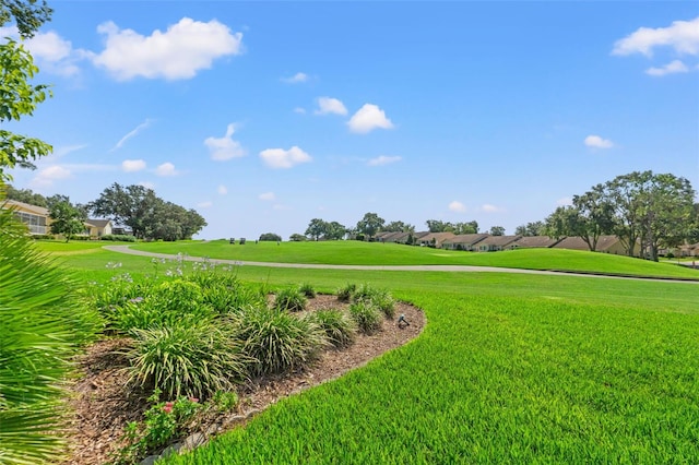 7328 Blue Skies Dr, Spring Hill, FL 34606 - surrounding community featuring a yard, a residential view, and view of golf course