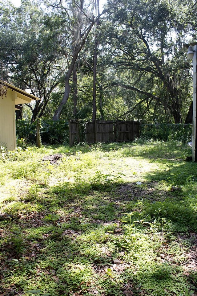 5635 Kimball Rd, Mulberry, FL 33860 - view of yard
