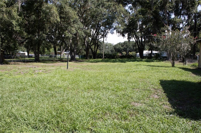 5635 Kimball Rd, Mulberry, FL 33860 - view of yard