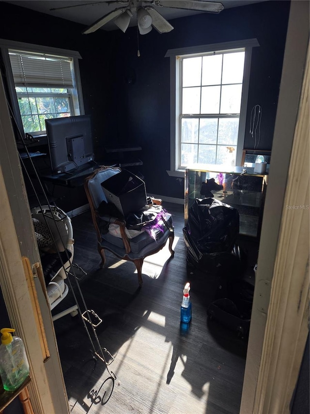 5420 Bay Blvd, Port Richey, FL 34668 - bedroom with an office area, wood finished floors, and ceiling fan
