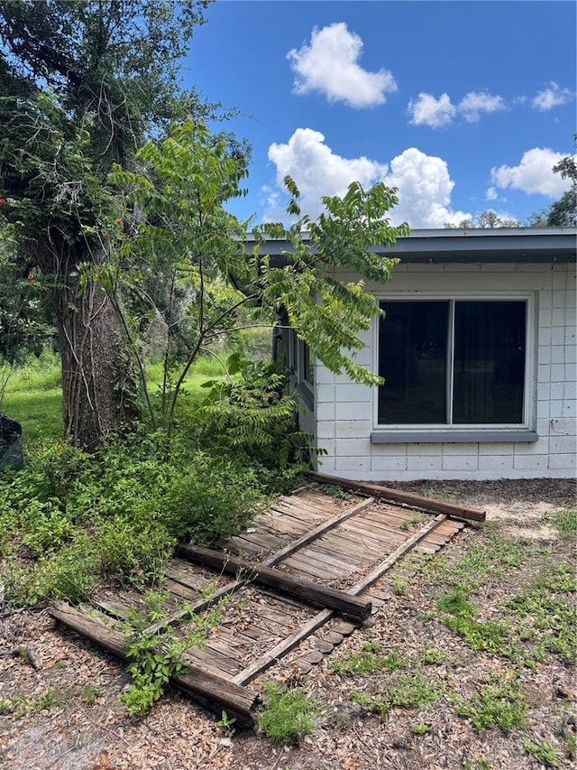 34767 Evergreen Way, Ridge Manor, FL 33523 - view of yard