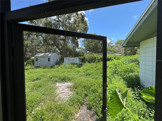 34767 Evergreen Way, Ridge Manor, FL 33523 - view of yard featuring an outbuilding