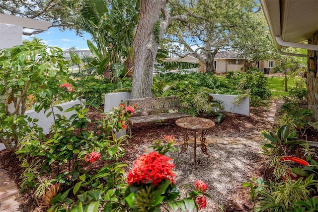 8143 Channel Dr, Port Richey, FL 34668 - view of yard