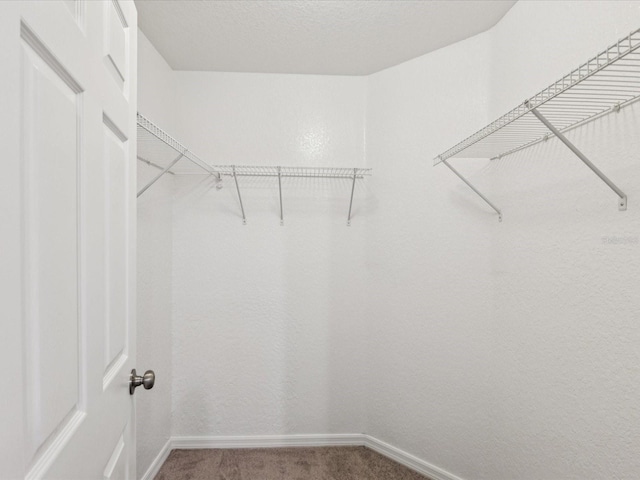 5048 Teather St, Spring Hill, FL 34608 - spacious closet with carpet