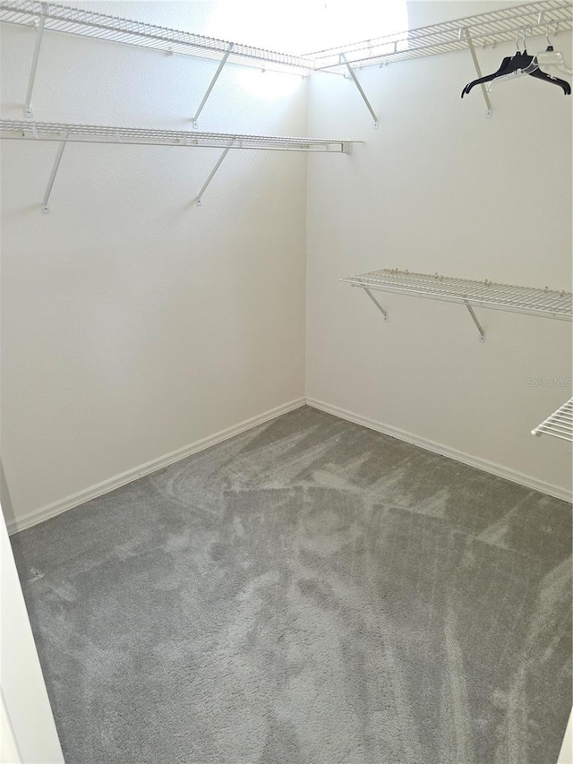 9168 Southern Comfort Ct, Weeki Wachee, FL 34613 - spacious closet with carpet