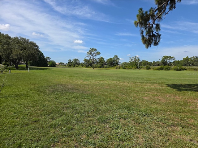 9168 Southern Comfort Ct, Weeki Wachee, FL 34613 - view of grassy yard