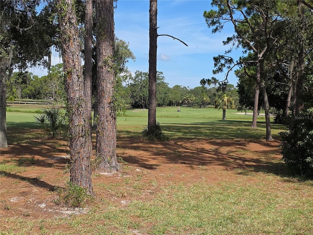 9168 Southern Comfort Ct, Weeki Wachee, FL 34613 - view of grassy yard