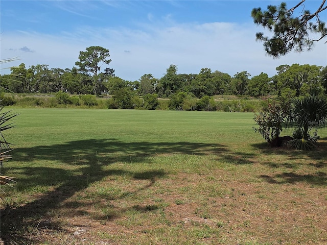 9168 Southern Comfort Ct, Weeki Wachee, FL 34613 - view of grassy yard