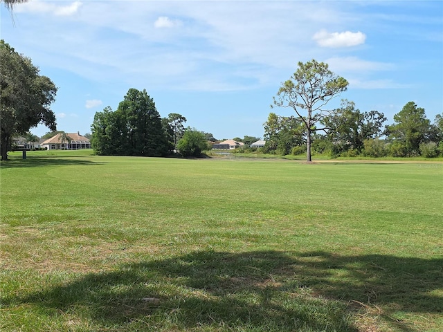 9168 Southern Comfort Ct, Weeki Wachee, FL 34613 - view of green lawn