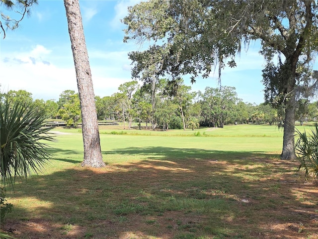 9168 Southern Comfort Ct, Weeki Wachee, FL 34613 - view of grassy yard featuring view of wooded area