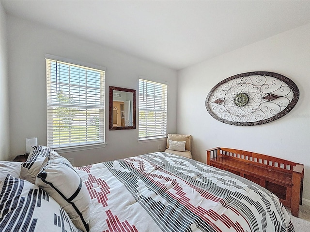 8855 Prairie Creek Dr, New Port Richey, FL 34655 - bedroom featuring multiple windows and carpet