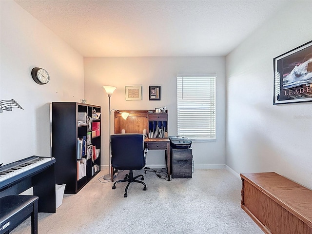 8855 Prairie Creek Dr, New Port Richey, FL 34655 - office space featuring carpet flooring and baseboards