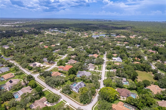 7512 Oak Tree Ln, Spring Hill, FL 34607 - photo 11
