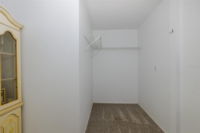 9328 Fred St, Hudson, FL 34669 - photo 44