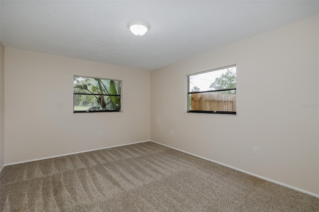 9328 Fred St, Hudson, FL 34669 - photo 45