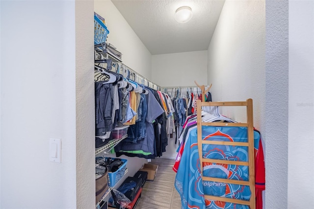 12119 Barnsley Reserve Pl, Gibsonton, FL 33534 - view of spacious closet