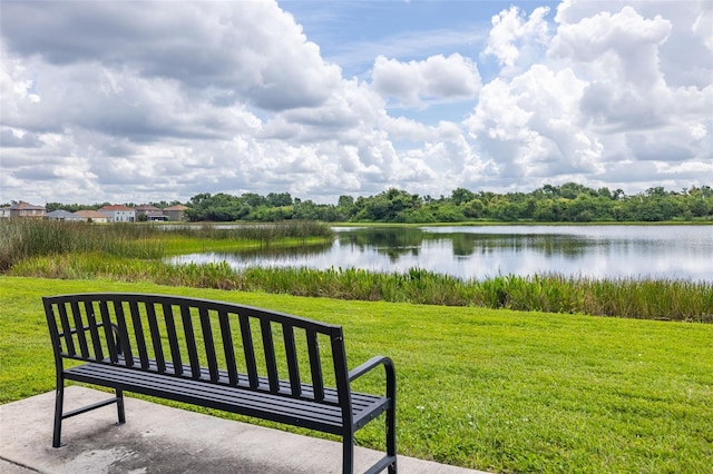 12119 Barnsley Reserve Pl, Gibsonton, FL 33534 - water view