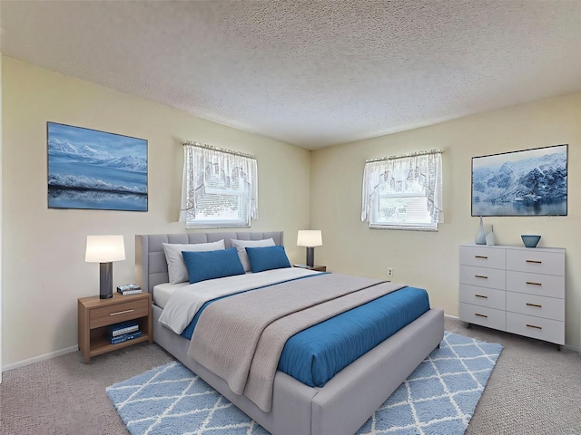 11094 Auburndale St, Spring Hill, FL 34609 - bedroom featuring carpet floors, multiple windows, and a textured ceiling