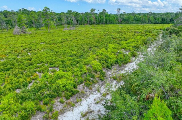6462 River Run Blvd, Weeki Wachee, FL 34607 - photo 32