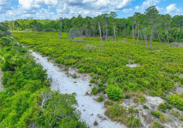 6462 River Run Blvd, Weeki Wachee, FL 34607 - photo 33