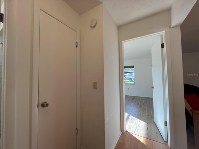 10458 Clingman St, Spring Hill, FL 34608 - hallway featuring wood finished floors and baseboards
