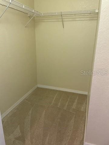 700 S Harbour Island Blvd Unit 407, Tampa, FL 33602 - walk in closet with carpet flooring