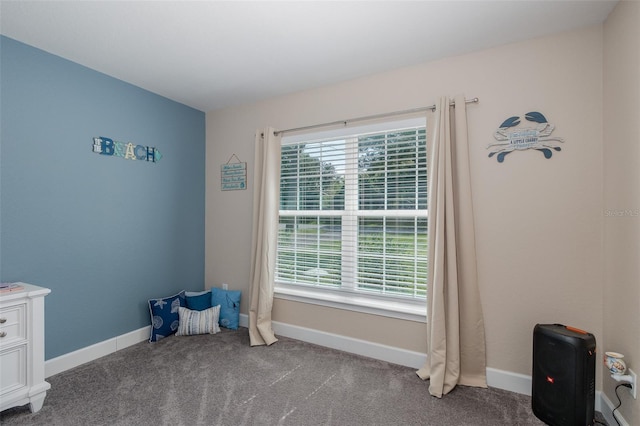 2027 Fentress Ct, Spring Hill, FL 34609 - photo 34