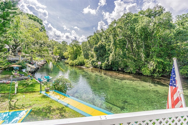 6682 W Richard Dr, Weeki Wachee, FL 34607 - photo 37