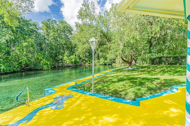 6682 W Richard Dr, Weeki Wachee, FL 34607 - photo 43