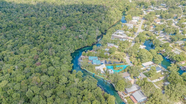 6682 W Richard Dr, Weeki Wachee, FL 34607 - photo 66
