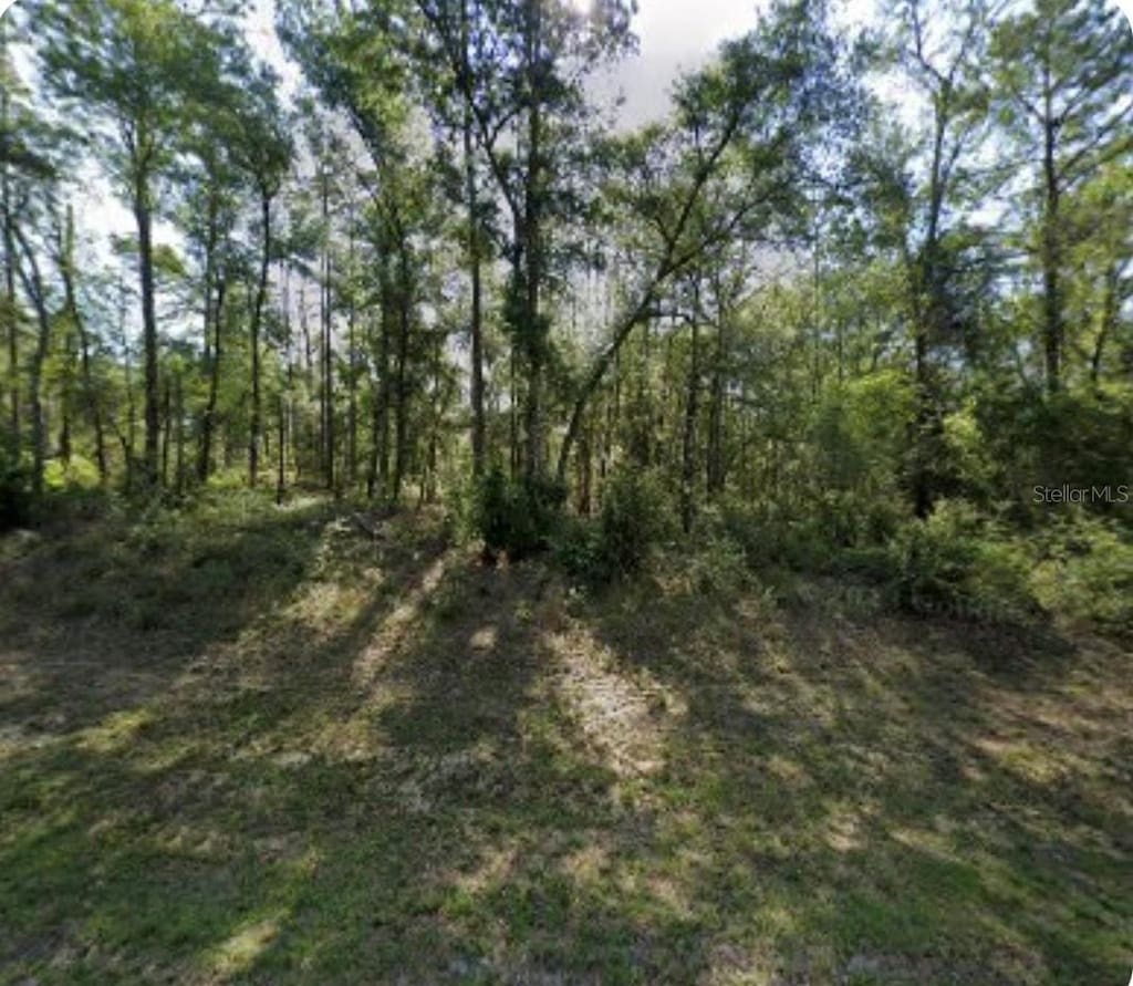 8965 N Lily Dr, Dunnellon, FL 34434