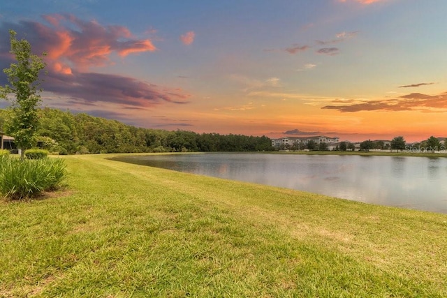 16874 Balance Cv, Land O Lakes, FL 34638 - water view
