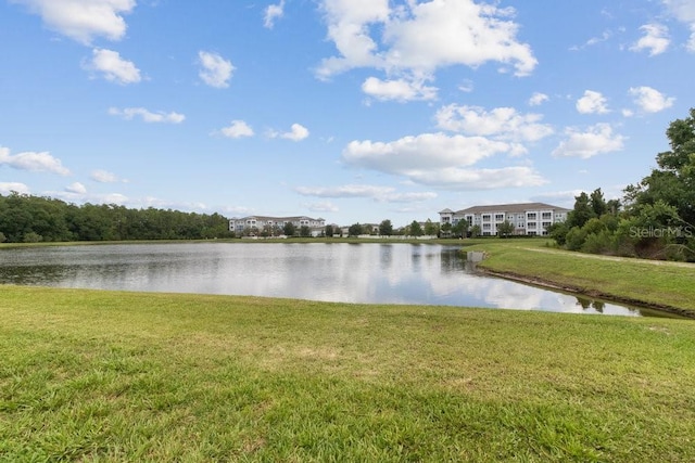 16874 Balance Cv, Land O Lakes, FL 34638 - water view