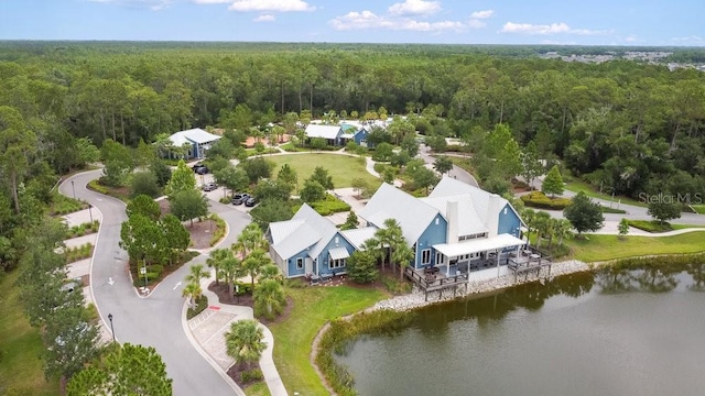 16874 Balance Cv, Land O Lakes, FL 34638 - aerial view of a nearby body of water