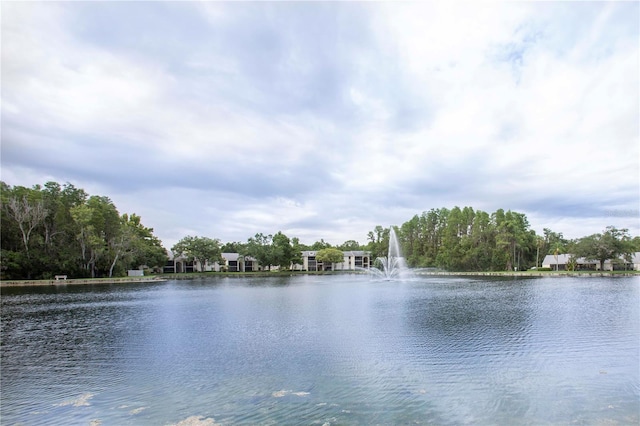 3153 Lake Pine Way Unit A1, Tarpon Springs, FL 34688 - water view