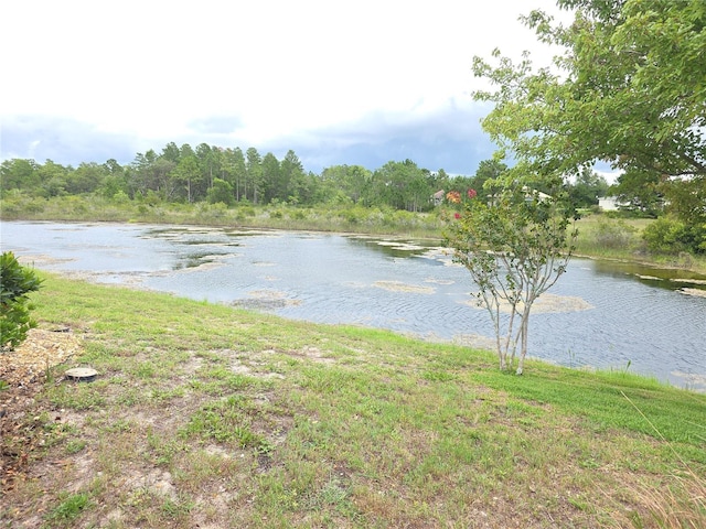 9188 Mississippi Run, Weeki Wachee, FL 34613 - photo 38