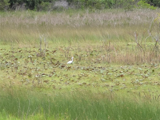 9188 Mississippi Run, Weeki Wachee, FL 34613 - photo 40
