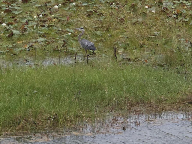 9188 Mississippi Run, Weeki Wachee, FL 34613 - photo 42