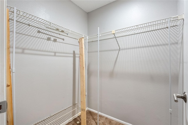 7700 Danube Dr Unit 7700, Hudson, FL 34667 - walk in closet with carpet flooring