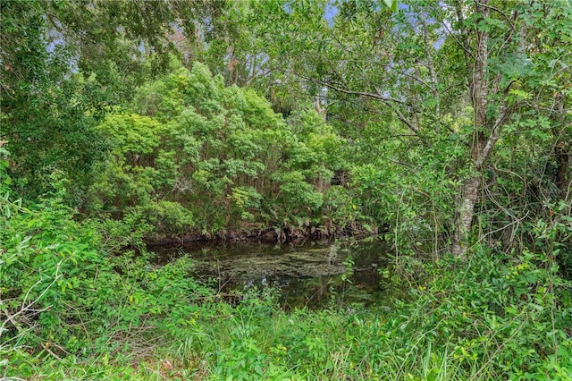 7700 Danube Dr Unit 7700, Hudson, FL 34667 - view of woods