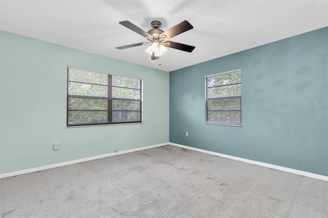 7230 Hummingbird Ln, New Port Richey, FL 34655 - photo 25