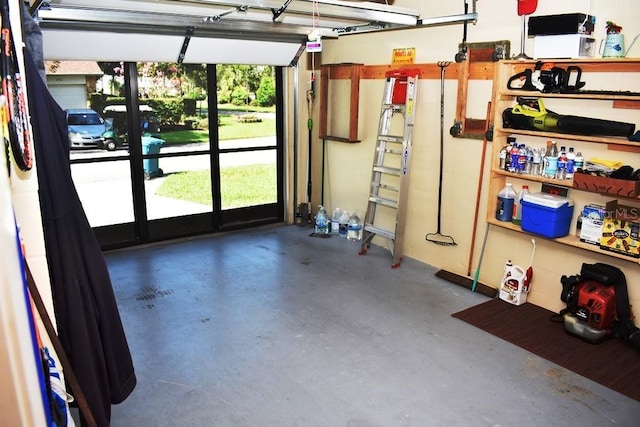 6575 Brambleleaf Dr, Spring Hill, FL 34606 - view of garage