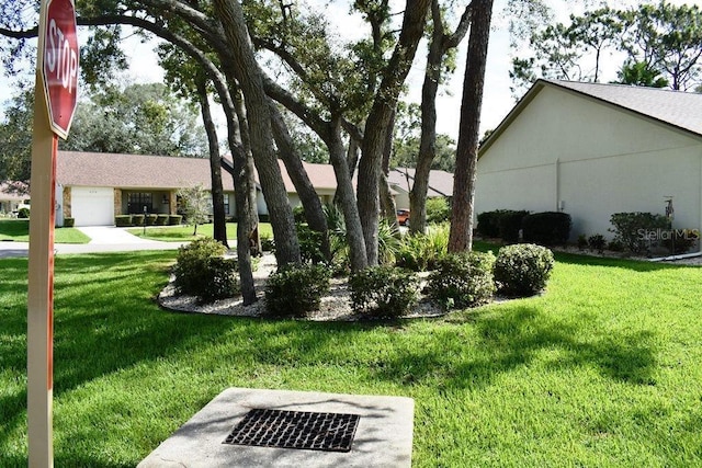 6575 Brambleleaf Dr, Spring Hill, FL 34606 - view of grassy yard featuring a garage