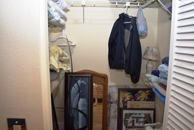 6575 Brambleleaf Dr, Spring Hill, FL 34606 - view of spacious closet