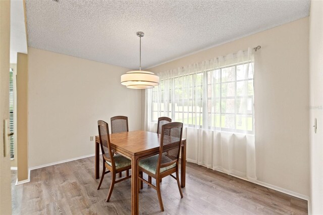 6085 Pekin Ct, Spring Hill, FL 34606 - dining room with wood finished floors and a textured ceiling