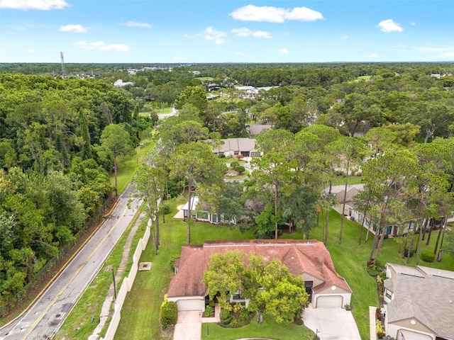 6085 Pekin Ct, Spring Hill, FL 34606 - aerial perspective of suburban area