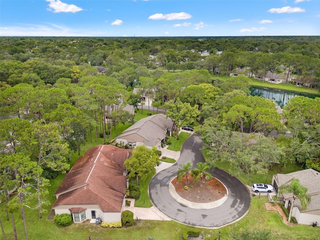 6085 Pekin Ct, Spring Hill, FL 34606 - bird's eye view of a nearby body of water and a forest